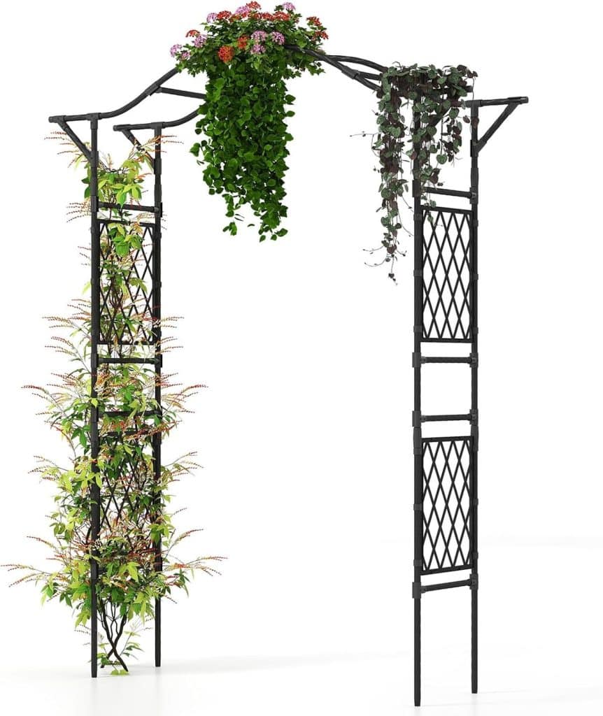 Avis sur l'arche de jardin Goplus en métal noir pour plantes grimpantes