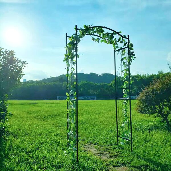 GARDEN Arche de Jardin décoration pour Le Jardin Arche Plantes grimpantes, métal, 234 x 112 x 45 cm Noir