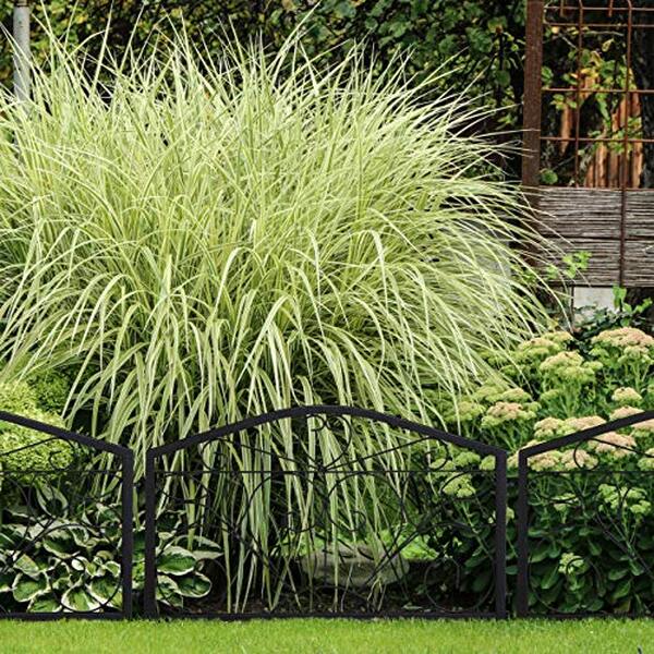 Découvrez notre avis complet sur la bordure potager Relaxdays au design antique et élégante coloris noir, idéale pour sublimer et protéger vos parterres de jardin avec style et durabilité.