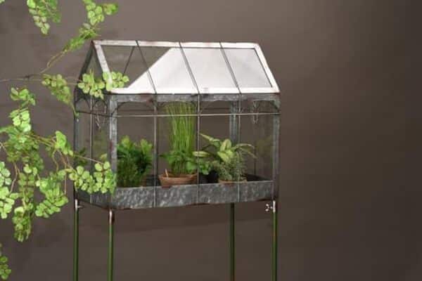Découvrez notre avis sur la serre Esschert Design 114 cm : un choix esthétique et pratique pour valoriser vos plantes et embellir votre espace extérieur.