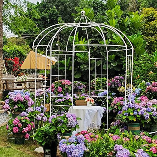 Analyse complète du tuteur rosiers Scendor Garden : dimension, durabilité et esthétique en une solution unique pour votre jardin.