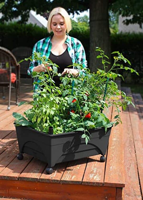 Découvrez le bac de culture Emsco City Picker avec système d'auto-arrosage intégré. Test complet, avis et conseils pour cultiver facilement vos plantes en appartement ou sur balcon. 