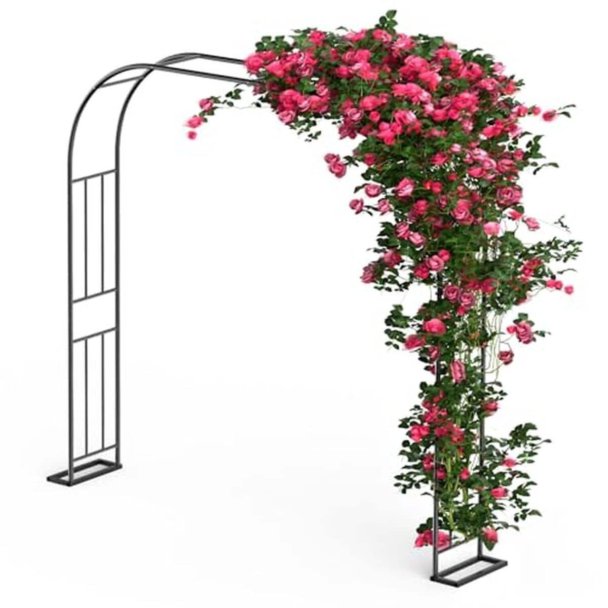 Avis : arche de jardin Xverycan pour plantes grimpantes