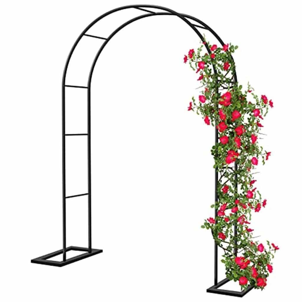 Test de l'arche jardin métal pour rosiers 188x230 cm