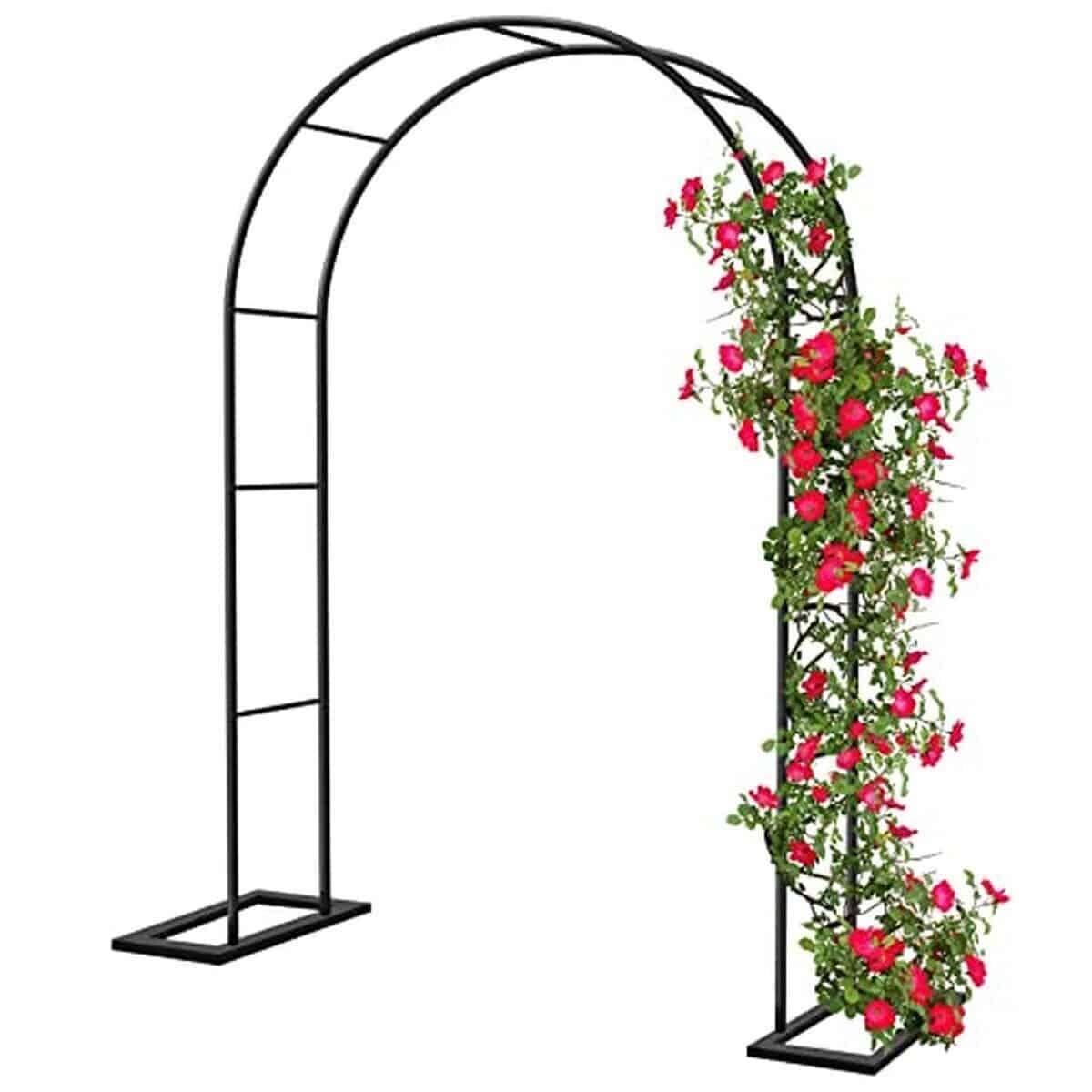 Test de l'arche jardin métal pour rosiers 188x230 cm