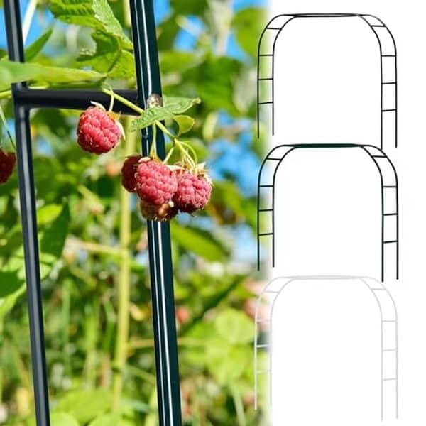 Découvrez notre test détaillé de l'arceau LIYI929GP : idéal pour sublimer vos plantes et créer des décors de mariage inoubliables. Avis, caractéristiques et conseils d'utilisation. 