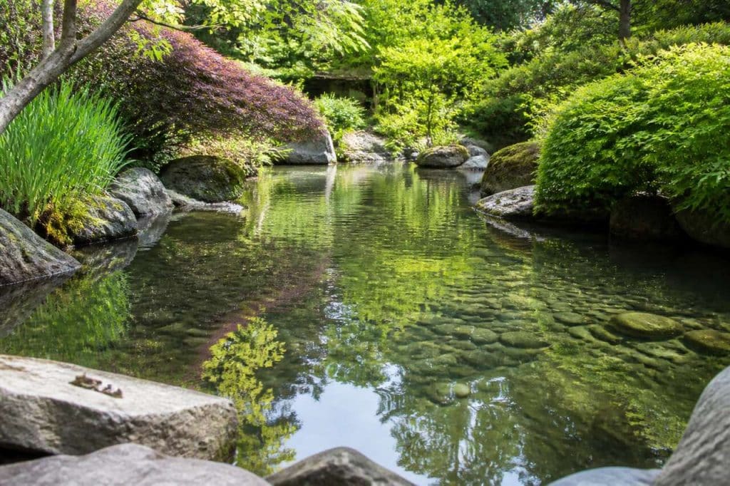 Comment entretenir et nettoyer un bassin de jardin ?
