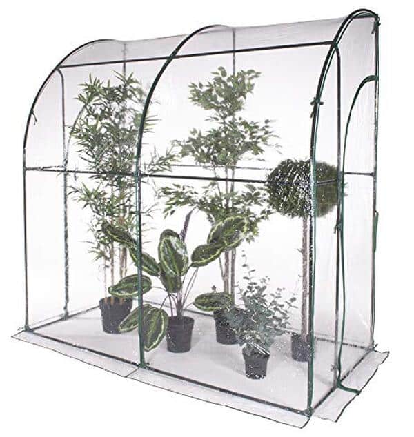 Découvrez notre test détaillé de la serre murale Verdelook : protection optimale des plantes, praticité d'installation et performances réelles pour votre jardin.